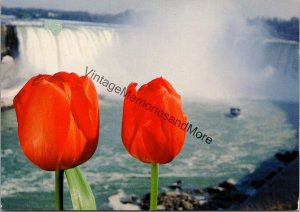 The Niagara Parks Commission's Niagara Centennial Tulip Postcard PC359