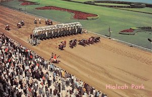 Hialeah Park One of the Most Beautiful Race Tracks Hialeah FL