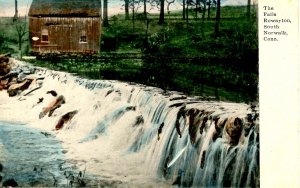 CT - South Norwalk. The Falls Rowayton  (glitter)