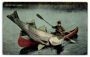 Early 1900s Exaggerated Striped Bass Striper in Canoe Postcard