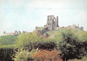 BR81924 corfe castle dorset    uk