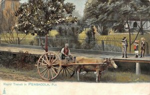 PENSACOLA, FL Florida  RAPID TRANSIT Man & Ox Cart~Children  1907 UDB Postcard