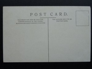 London TWICKENHAM Eel Pie Island showing Paddle Steamer c1906 Postcard