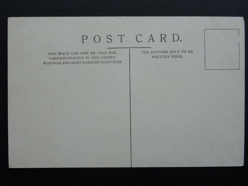 London TWICKENHAM Eel Pie Island showing Paddle Steamer c1906 Postcard