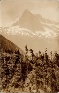 RPPC Beautiful Mountains and Snow Fields with The Pine Trees c1930 Postcard W12