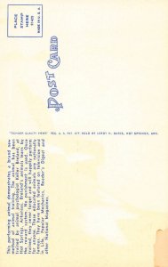 LPD25   Duck Playing Piano Music,   Postcard