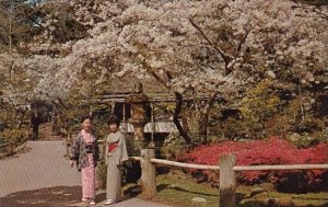 Japanese Tea Garden San Francisco California