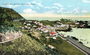 C.1910 Bird's Eye View Laupahoehoe Territory Hawaii Hawaiian Island Postcard F62