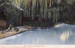 New Zealand Hot Water Swimming Bath Antique Postcard