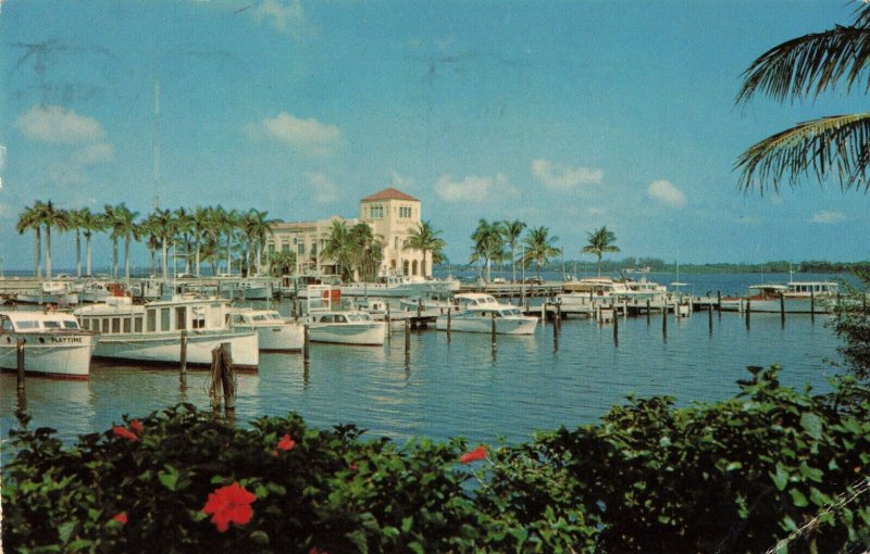 C.1969 Bradenton, Fl. Memorial Pier and Yacht Basin Boats Palm Trees Postcard