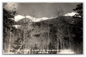 RPPC  San Francisco Peaks Flagstaff Arizona AZ UNP Postcard R6