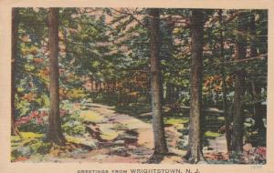 Greetings from Wrightstown NJ, New Jersey - Road thru Woods - pm 1943 - Linen