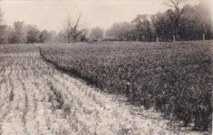 Advertising Farm Scene Jarecki Plant Foods Jarecki Chemical Company Wooster O...