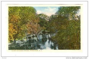 Scene on Stony Brook, New Jersey, 00-10s