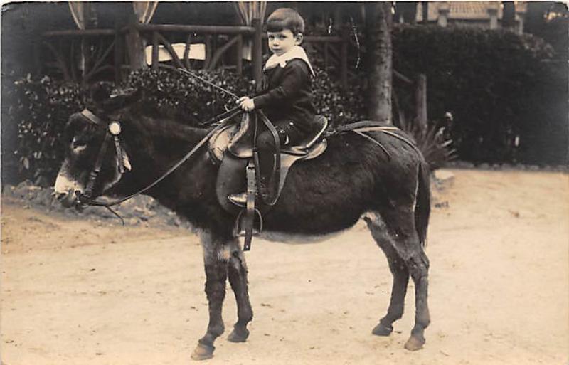 Child on a donkey Child, People Photo Unused 