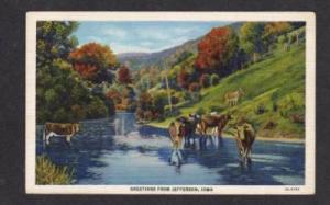 IA Greetings From JEFFERSON IOWA POSTCARD Cows Feeding