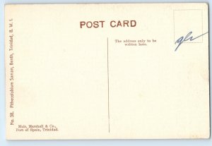 Trinidad and Tobago B.W.I Postcard Pithecolobium Saman Benth c1910 Antique