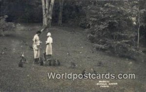 Monkeys, Botanical Gardden, Penang Singapore Unused 