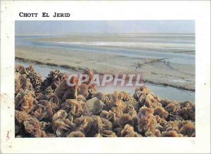 Postcard Modern Tunisia sand roses on the Chott El Jerid