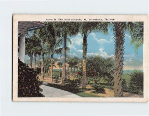 Postcard Scene in The Braf Grounds, St. Petersburg, Florida