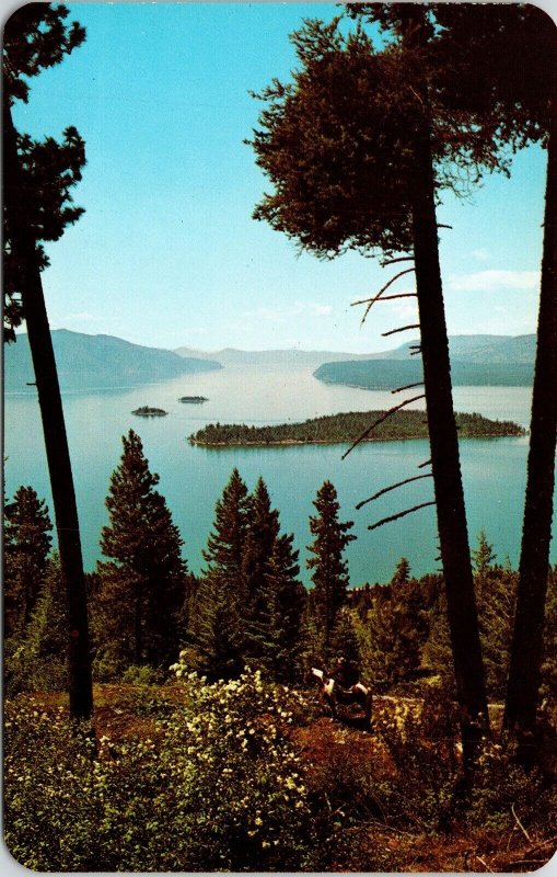 Beautiful Lake Pend Oreille North Idaho ID Yellow Pine Trees Island Postcard UNP 