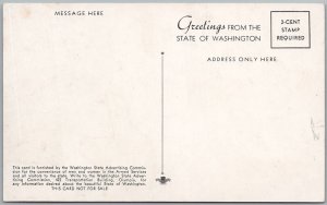 Tacoma Narrows Bridge Washington State Lithograph Postcard H81