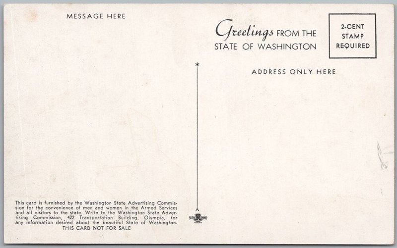 Tacoma Narrows Bridge Washington State Lithograph Postcard H81