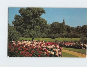 Postcard The Peony Collection, Boerner Botanical Gardens, Hales Corners, WI