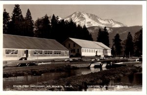 RPPC Mt Shasta CA California STATE FISH HATCHERY Eastmans Studio B-8649 Postcard