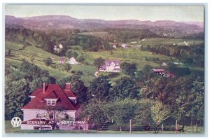 1907 Scenery Liberty Houses Trees Mountains New York NY Antique Vintage Postcard