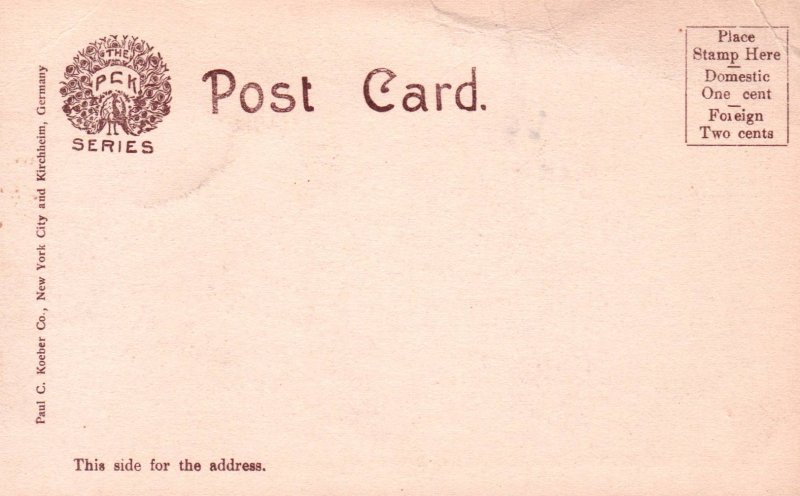 Wheeling Wharf and Bridges,Wheeling,WV BIN