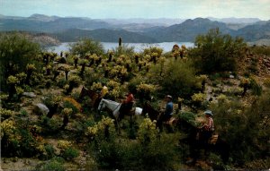 Arizona Mesa Sahuaro Lake Ranch Horseback Riders