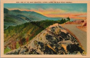 One of the Many Beautiful Scenes Along the Blue Ridge Parkway Postcard PC305