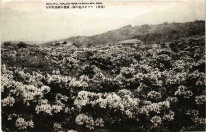 CPA AK Beautiful Azaleas near Yawata Spa Nasu JAPAN (724339)