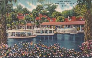 Florida Silver Springs The Boat Docks