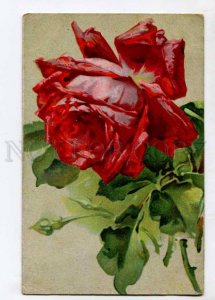 402772 Huge RED ROSES by KLEIN vintage LITHO Russian RPPC