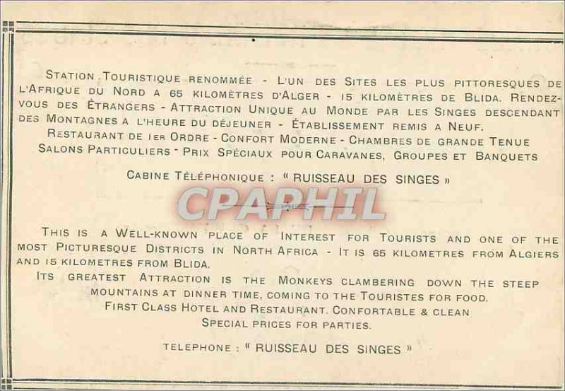 Old Postcard Chalet Hotel Creek Gorge Monkeys Monkeys Chiffa