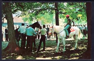 Saratoga Race Track,Sarasota,NY,Horse Racing