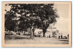 c1940's View of Big Tree Invererie Park Port Stanley Ontario Canada Postcard