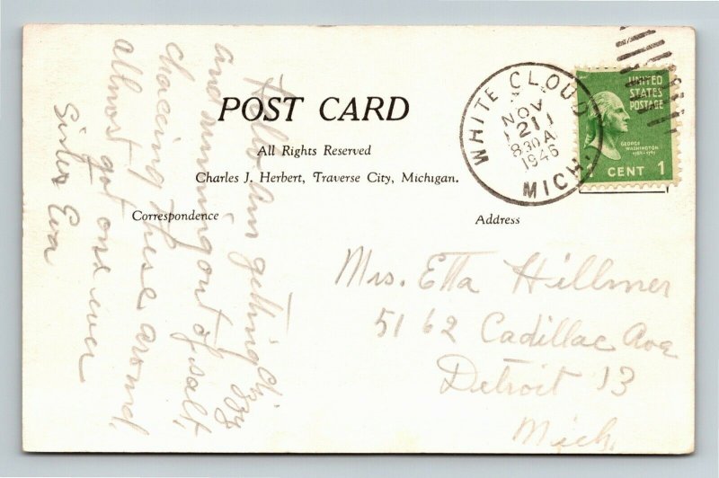White Cloud MI-Michigan, Deer, Huge Buck, Antlers, Chrome c1946 Postcard