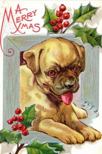 C. 1910 Cute Puppy Dog Christmas Holly Berries Silver Vintage Postcard P98