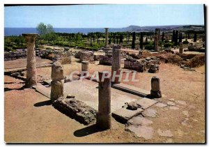 Modern Postcard Costa Brava Ampurias Patio porticado con Impluvium