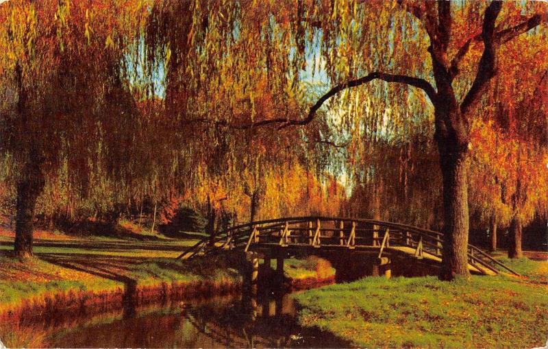 BR51743 Fall scene in stanley park Vancouver Canada