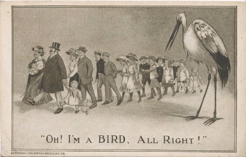  Oh Im A Bird All Right  Humour Funny Birds Wildlife People Vintage Postcard