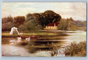 Pangbourne Berkshire England Postcard Swan & Boat c1910 Oilette Tuck Art