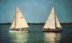 Vintage Postcard 1956 Sailing Vineyard Sound Off Martha's Island Massachusetts