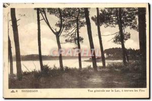 Old Postcard Hossegor Vue Generale Sur Le Lac Travers Les Pins