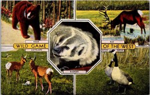 Animals Wild Game Of The West Bear Elk Antelope Badger & Wild Geese