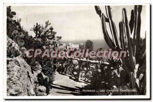 Old Postcard Monaco The Exotic Garden