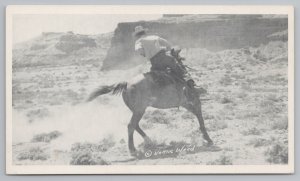 Western~Cowboy On Chinook Wild Stallion~Vintage Postcard